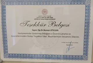 Op. Dr. Numan Atılgan profilinde yer alan galeri fotoğrafı.