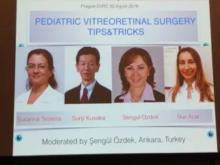 Prof. Dr. Şengül Özdek profilinde yer alan galeri fotoğrafı.