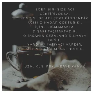 Kl. Psk. Ayşe Merve Yamak Küçükemirler profilinde yer alan galeri fotoğrafı.