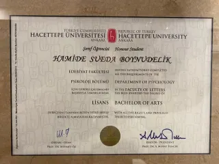 Psk. H. Sueda Boynudelik profilinde yer alan galeri fotoğrafı.
