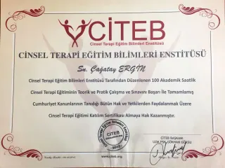 Psk. Çağatay Ergin profilinde yer alan galeri fotoğrafı.