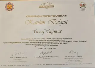 Prof. Dr. Yusuf Yağmur profilinde yer alan galeri fotoğrafı.