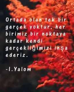 Kl. Psk. Emine Aras profilinde yer alan galeri fotoğrafı.