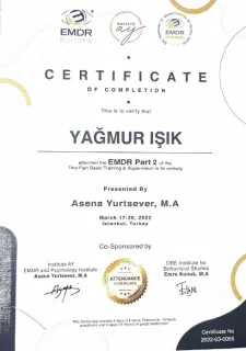 Psk. Yağmur Işık profilinde yer alan galeri fotoğrafı.