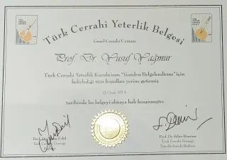 Prof. Dr. Yusuf Yağmur profilinde yer alan galeri fotoğrafı.