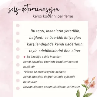 Psk. Pınar Kökdere Eyüpoğlu profilinde yer alan galeri fotoğrafı.