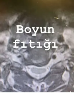 Doç. Dr. Veysel Antar profilinde yer alan galeri fotoğrafı.