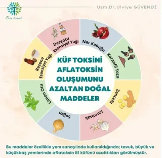 Uzm. Dr. Ülviye Güvendi profilinde yer alan galeri fotoğrafı.