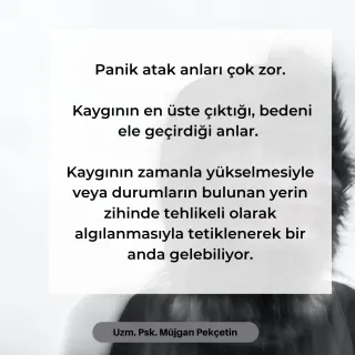 Kl. Psk. Müjgan Pekçetin profilinde yer alan galeri fotoğrafı.