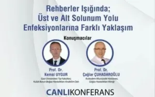 Prof. Dr. Kemal Uygur profilinde yer alan galeri fotoğrafı.