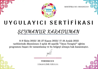 Kl. Psk. Şeymanur Karaduman profilinde yer alan galeri fotoğrafı.