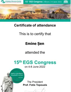 Prof. Dr. Emine Şen profilinde yer alan galeri fotoğrafı.