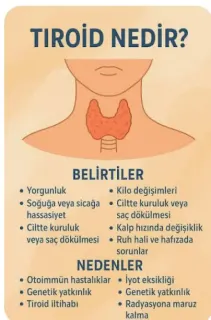 Uzm. Dr. Halil Kalli profilinde yer alan galeri fotoğrafı.