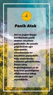 Kl. Psk. Eda Karakaya Güngör profilinde yer alan galeri fotoğrafı.