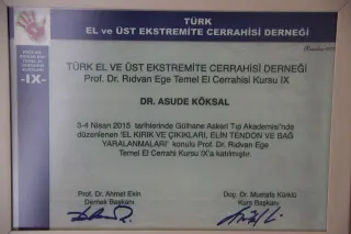 Op. Dr. Asude Köksal profilinde yer alan galeri fotoğrafı.