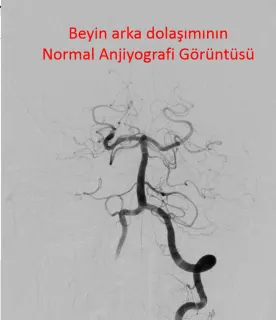 Doç. Dr. Fatih Yakar profilinde yer alan galeri fotoğrafı.