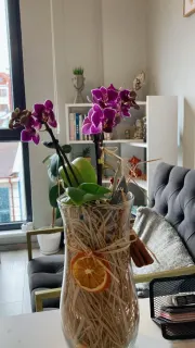 Psk. Eylül Ecem Baş profilinde yer alan galeri fotoğrafı.