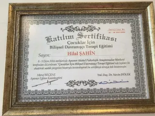 Psk. Hilal Şahin Midil profilinde yer alan galeri fotoğrafı.
