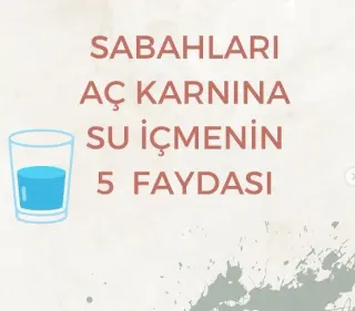 Dyt. Senanur Doğan profilinde yer alan galeri fotoğrafı.