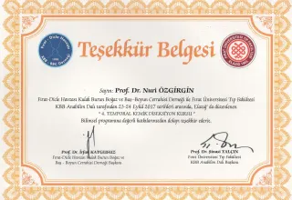 Prof. Dr. Nuri Özgirgin profilinde yer alan galeri fotoğrafı.