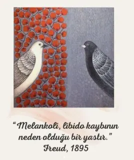 Psk. Meral Anaşin profilinde yer alan galeri fotoğrafı.