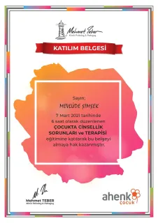Kl. Psk. Mevlüde Seher Şimşek profilinde yer alan galeri fotoğrafı.
