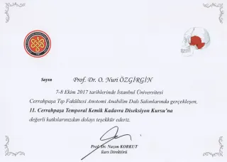 Prof. Dr. Nuri Özgirgin profilinde yer alan galeri fotoğrafı.