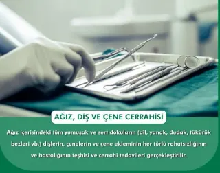 Uzm. Dt. İbrahim Macit profilinde yer alan galeri fotoğrafı.