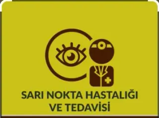 Prof. Dr. Yüksel Totan profilinde yer alan galeri fotoğrafı.