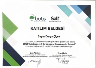 Psk. Derya Çiçek profilinde yer alan galeri fotoğrafı.