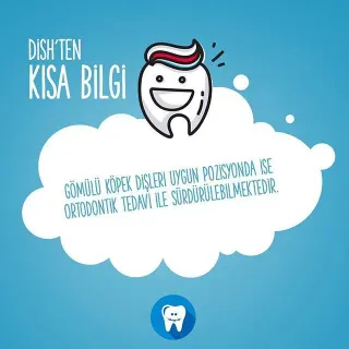 Dr. Dt. Özlem Sancak profilinde yer alan galeri fotoğrafı.
