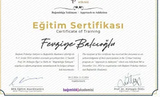 Fevziye Balcıoğlu profilinde yer alan galeri fotoğrafı.