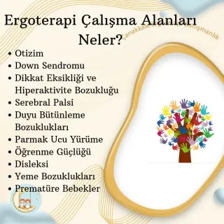 Erg. Ayça Yüksel profilinde yer alan galeri fotoğrafı.