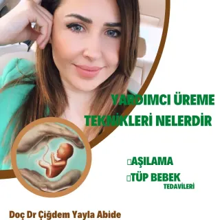 Prof. Dr. Çiğdem Yayla Abide profilinde yer alan galeri fotoğrafı.