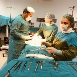 Op. Dr. Hakan İbrahim Boyar profilinde yer alan galeri fotoğrafı.