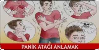 Uzm. Dr. Aylin Aksoy Çoban profilinde yer alan galeri fotoğrafı.