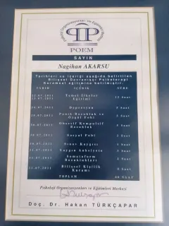 Psk. Nagihan Akarsu profilinde yer alan galeri fotoğrafı.