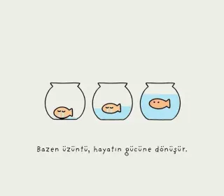 Psk. Ayşenur Sezer profilinde yer alan galeri fotoğrafı.