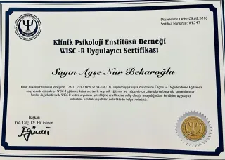 Ayşenur Bekaroğlu profilinde yer alan galeri fotoğrafı.