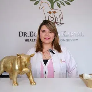Dr. Ece Elvan Kartal Apaydın — Çanakkale. Portre fotoğrafı.