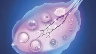 Op. Dr. Gül Tufan profilinde yer alan galeri fotoğrafı.