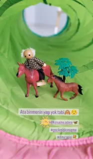 Uzm. Dkt. İrem Ürün profilinde yer alan galeri fotoğrafı.