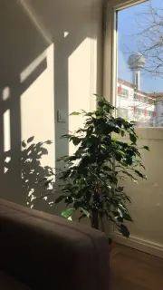 Psk. Serenay Ercan Özülkü profilinde yer alan galeri fotoğrafı.