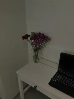 Psk. Dr. Begüm Eser Terliksiz profilinde yer alan galeri fotoğrafı.