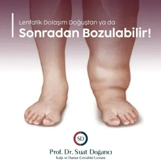 Prof. Dr. Suat Doğancı profilinde yer alan galeri fotoğrafı.