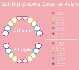 Uzm. Dt. İbrahim Şimşek profilinde yer alan galeri fotoğrafı.