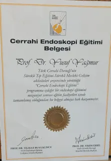 Prof. Dr. Yusuf Yağmur profilinde yer alan galeri fotoğrafı.