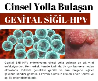 Prof. Dr. Hakkı Perk profilinde yer alan galeri fotoğrafı.