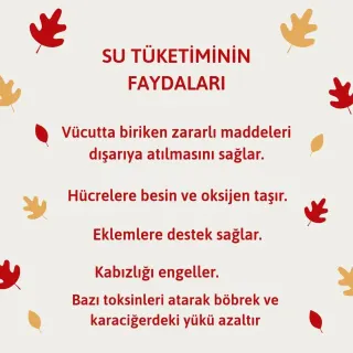 Dyt. Sernaz Çakır Ercil profilinde yer alan galeri fotoğrafı.