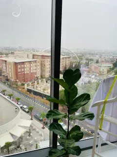 Dyt. Sevcan İnci profilinde yer alan galeri fotoğrafı.